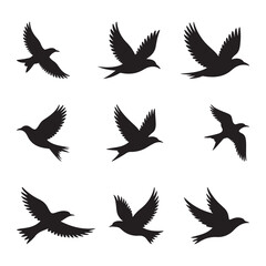 Black Color Flying Birds Silhouette &ndash; Minimal Nature Vector Silhouette Vector Illustration, Solid White Background.