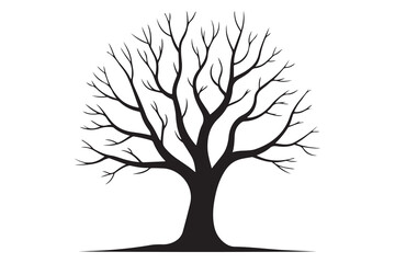 Obraz premium Leafless tree silhouette on white background 