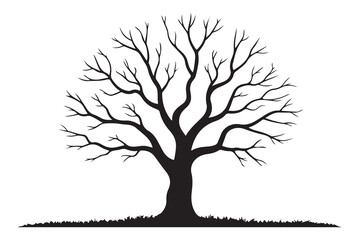 Fototapeta premium Leafless tree silhouette on white background 