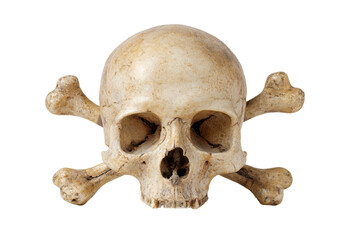 Human Skull with Crossbones Symbol