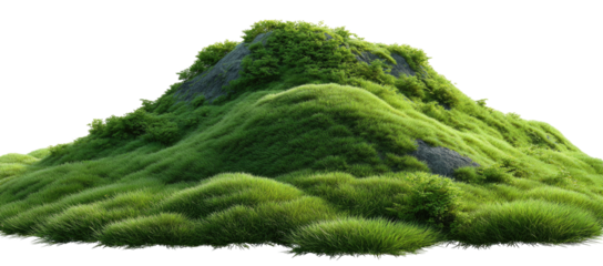 Lush, grassy knoll with hints of rocky terrain, surrounded by a black void