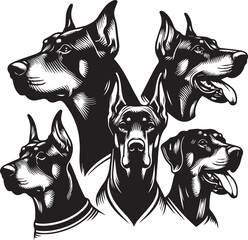 Dobermann Dog Vector	