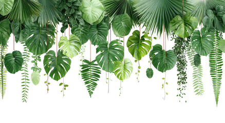 Lush, vibrant assortment of tropical foliage, with a rich variation of shapes and textures