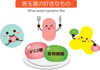 善玉菌の好きなもの　シンプル ©  ヤマザクラ