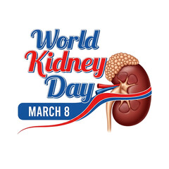 World kidney day awareness graphic with realistic kidney illustration and red ribbon on transparent background