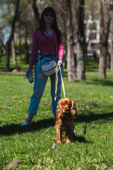 Woman standing on green grass in sunny park, holding leash and water bottle while smiling with her cocker spaniel companion, enjoying a relaxed spring walk outdoors
