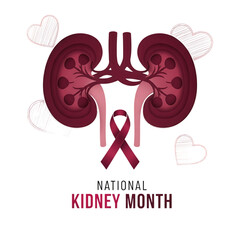Detailed illustration of human kidneys with a ribbon and hearts on transparent background