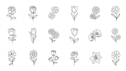 Collection of 20 grayscale skull illustrations isolated on transparent background