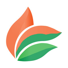 vector illustration of a leaf