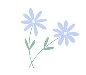 Floral simple flat illustration, wildflowers. Vector pastel daisy with leaves for cards, posters, and modern graphic cottagecore designs.