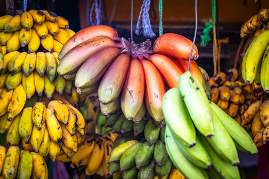 market in sri lanka, fresh red bananas, fruit, healthy, organic, ceylon, asia, kandy