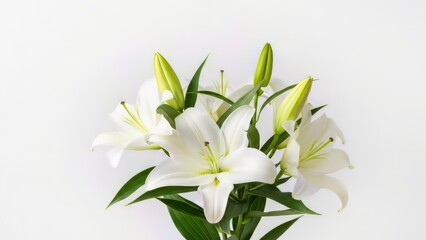 Obraz premium Elegant white lilies for galentine's day