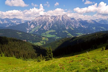 Leogang Mountains Leoganger Steinberge with highest peak Birnhorn, idyllic summer landscape Alps, Zell am See district, Salzburg federal state, Austria