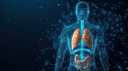 Digital Human Body Anatomy with Internal Organs and Neural Network Connections, Futuristic Medical Technology Concept