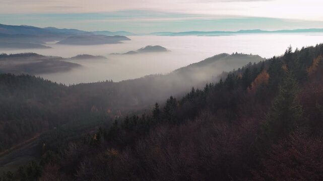 Aerial view of hills covered in dense forest partially obscured by a thick blanket of fog, creating a serene yet dramatic landscape, Banska Bystrica, Slovakia.