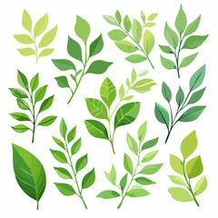 Fototapeta premium Illustration of various green leaves and branches on a white background.