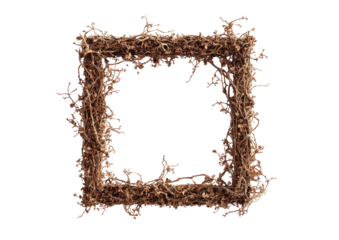 Textured, square frame with intricate, organic design against a black background