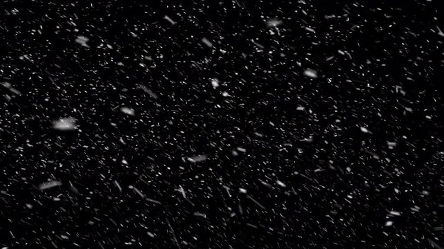 Winter overlay - animation of falling dense snow . Seamless snowing loop. Alpha channel - transparent background.
