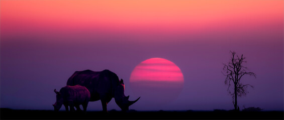 Silhouette of a Rhino mother and baby © Delta-photography