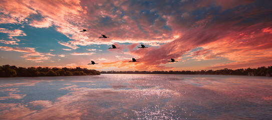 Silhouettes of bird over the river painted organg at sunrise