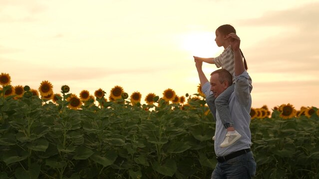 Father and daughter in sunflower field at sunset, happy family in summer, dad carrying child on shoulders, sunny day in nature, enjoying time together outdoors, bonding in the countryside, beautiful