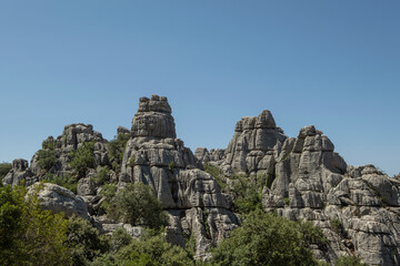 Rugged limestone landscape featuring a variety of karst formations and wild mediterranean flora growing among its cracks.  Torcal de Antequera Natural Park