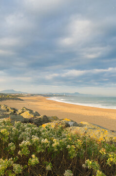 View of the golden beach and the ocean framed by rocks and green plants under a cloudy sky, creating a serene coastal landscape, Anglet, France.