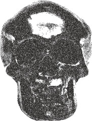 Skull y2k retro stipple art skeleton brutalist halftone vector png transparent, bone 2000s photocopy effect tattoo aesthetic