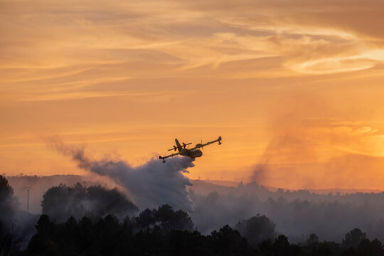 Amphibious aircraft dropping water onto a wildfire in a pine forest at dusk. Ourense, Spain