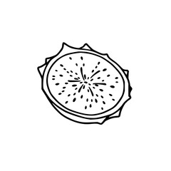 Dragon fruit slice, black line art, white backgrou