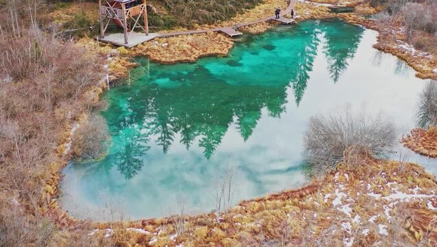 Emerald springs of Zelenci, Slovenia