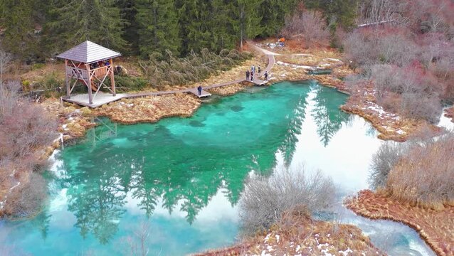 Clear springs and wetlands of Zelenci