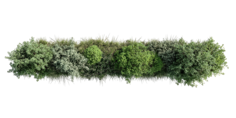 Aerial view of a lush green row of various trees against a solid black background