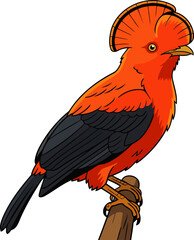 Andean Cock of the Rock Perched on a Branch - Animal Character Illustration Isolated on Transparent Background