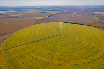 Circular agricultural field with irrigation system