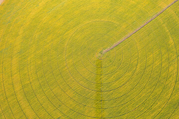 Aerial view of circular crop field pattern