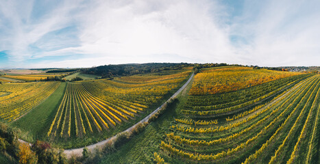 Autumn Vineyard Landscape at Sunset in the Weinviertel Wine Region