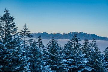 霧ケ峰高原の雪原から朝の中央アルプス