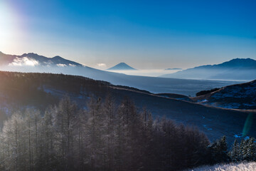 冬の霧ヶ峰高原から白く輝く霧氷と富士山
