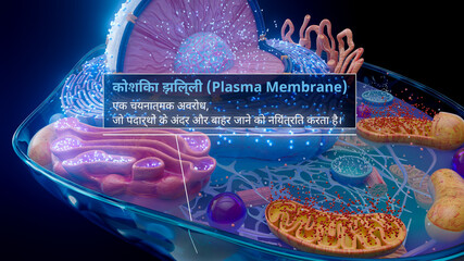 3D illustration of the plasma membrane surrounding a cell in hindi