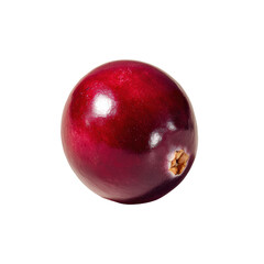 Obraz premium Fresh Cranberry Close-Up on Neutral Background