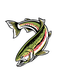 Stylized curved trout fish vector illustration, clean and colorful, perfect for fishing logos, outdoor apparel, and nature-themed graphics.