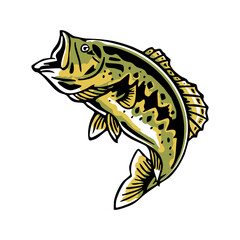 Jumping bass fish vector illustration, bold and dynamic, ideal for fishing brands, sport logos, apparel, and outdoor graphics.