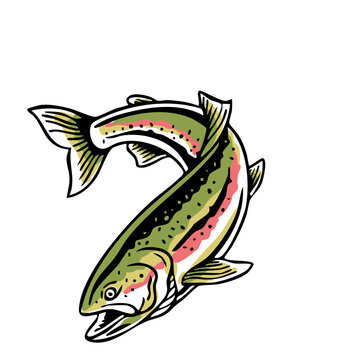 Stylized curved trout fish vector illustration, clean and colorful, perfect for fishing logos, outdoor apparel, and nature-themed graphics.