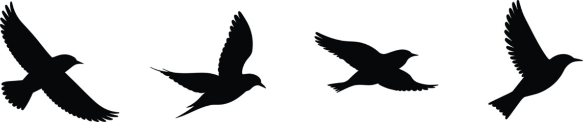Obraz premium Flying bird silhouettes sequence with spread wings isolated vector illustration for freedom motion wildlife nature concept stock design use