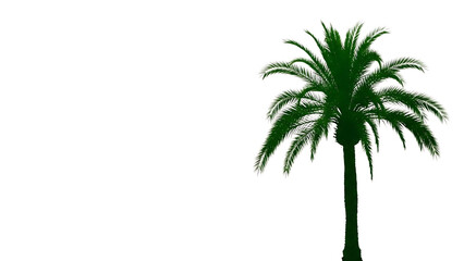 Obraz premium A blurry palm tree isolated on transparent background