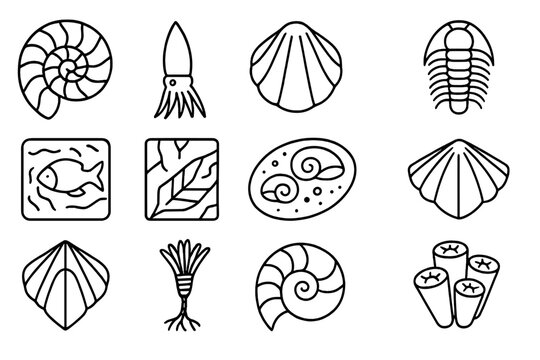 Fossil Mollusk Icons. Line style icons of fossil mollusks: ammonite, belemnite, fossil shell, trilobite; etched slab, petrified