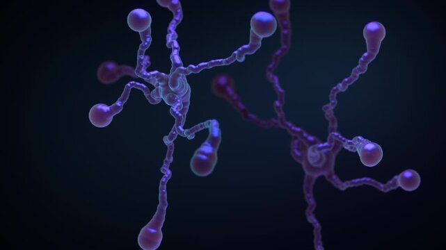 Pulsing nodes of neural network connections on dark background. Visualization of artificial intelligence AI, neural networks, brain activity or data processing. Looped realistic 4K animation