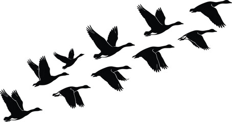 Flying geese silhouettes in diagonal formation black vector illustration isolated on white background wildlife migration flock concept design nature art © Creative Soul