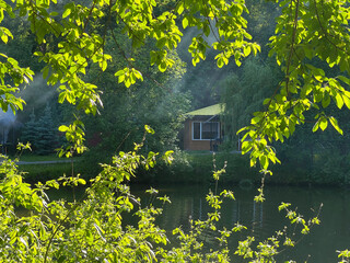 Tranquil forest lake, framed by green trees. The bright sun shines through the branches